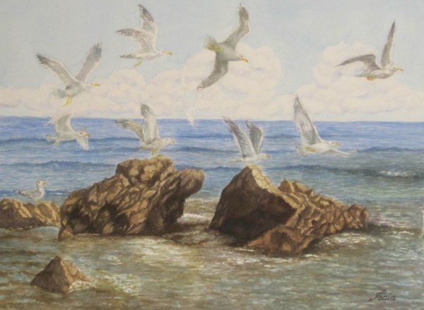 “Lo scoglio del cane a Castiglioncello, dipinto di Fiorenzo Isaia, scogli e gabbiani sul mare toscano”
