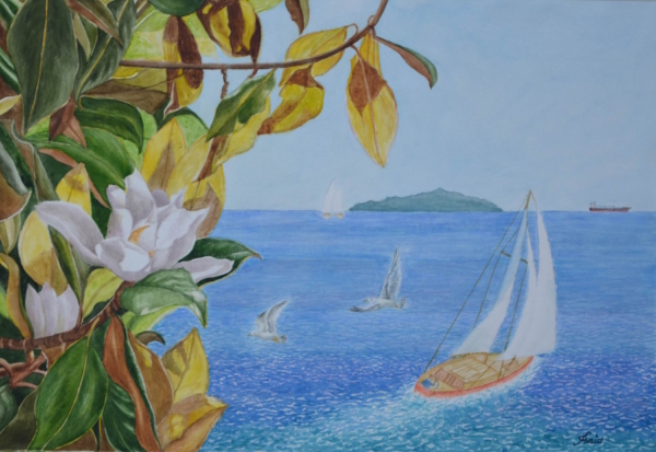 Tra magnolie e bianche vele, il Tirreno, olio su tela di Fiorenzo Isaia, paesaggio marino e flora mediterranea con barche a vela