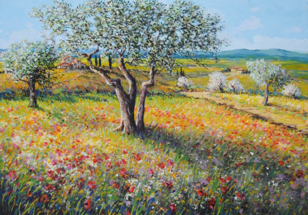 Olio su tela 70x100 cm di Giuseppe Pierozzi, campagna primaverile con ulivi tra alte erbe dorate, papaveri e fiori di campo, colori caldi e vivaci.