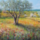 Olio su tela 70x100 cm di Giuseppe Pierozzi, campagna primaverile con ulivi tra alte erbe dorate, papaveri e fiori di campo, colori caldi e vivaci.