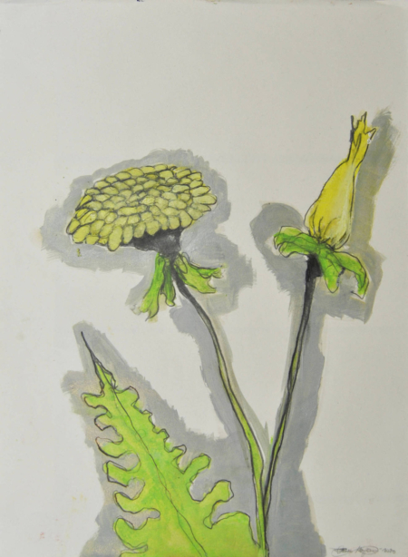 Ottavio Mangiarini, Fiore n.3, tecnica mista su carta