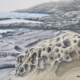 Paesaggio marino livornese dipinto da Alessandro Danzini, scogli di Calafuria e mare modellato dal vento
