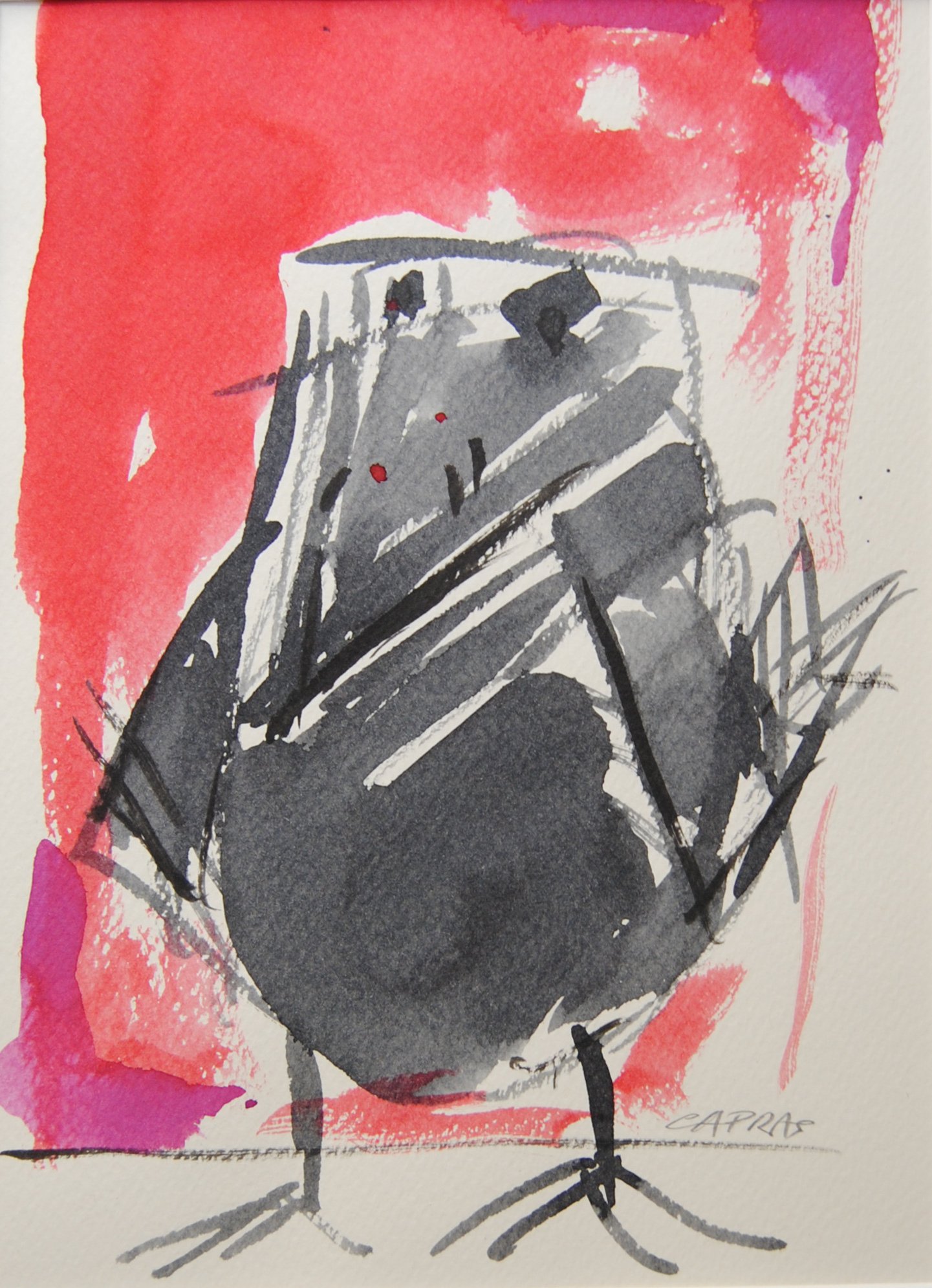 Augel Nero, disegno di CAPRAS: uccello nero insolito e simpatico su sfondo rosso, impatto immediato e ironico
