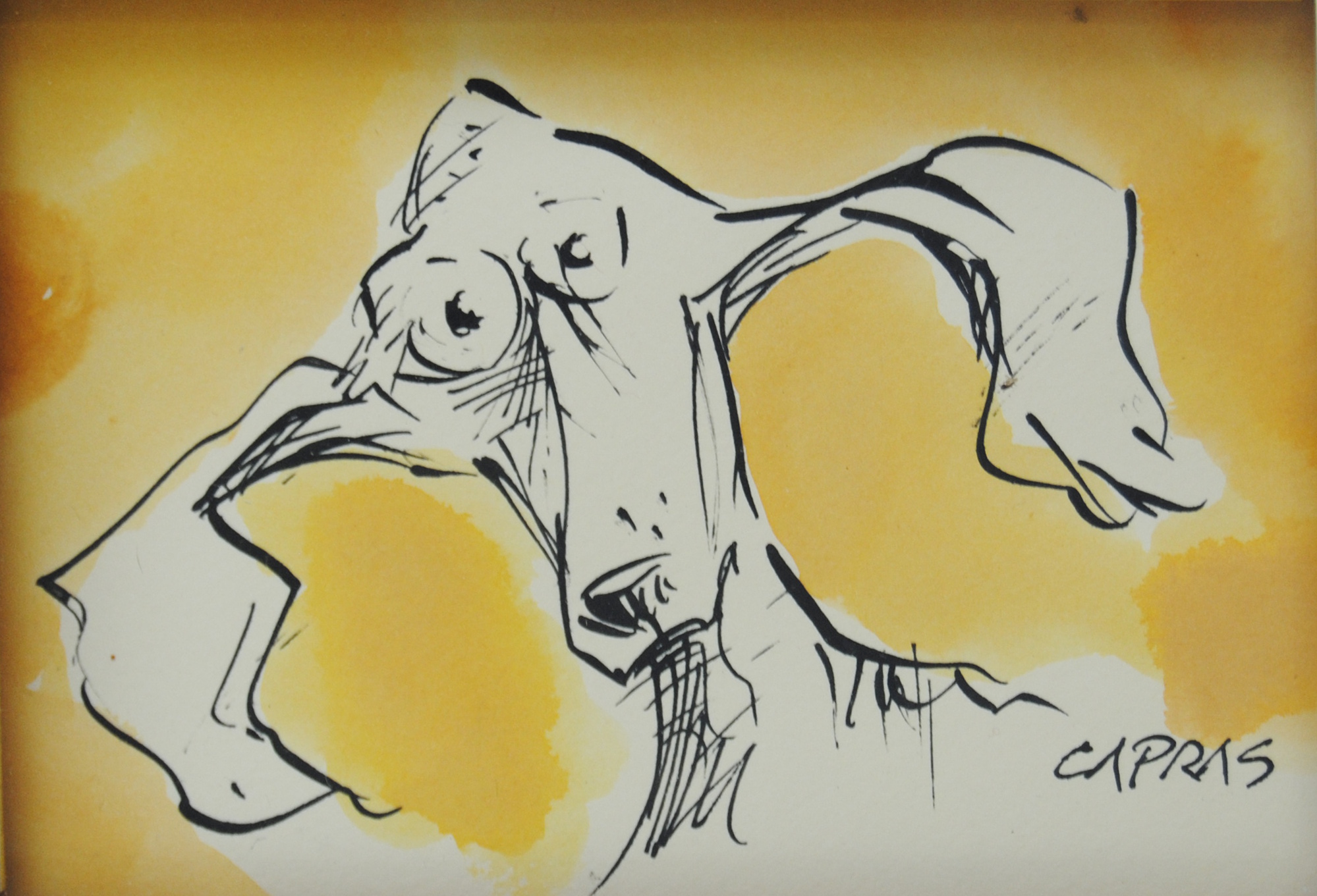 Vasca Lunga, CAPRAS, Stefano Caprina, illustrazione canina, bassotto felice, bagno, disegno ironico, arte visiva italiana, vignetta grafica, umorismo visivo, primo piano, arte contemporanea, ironia sottile, relax animali