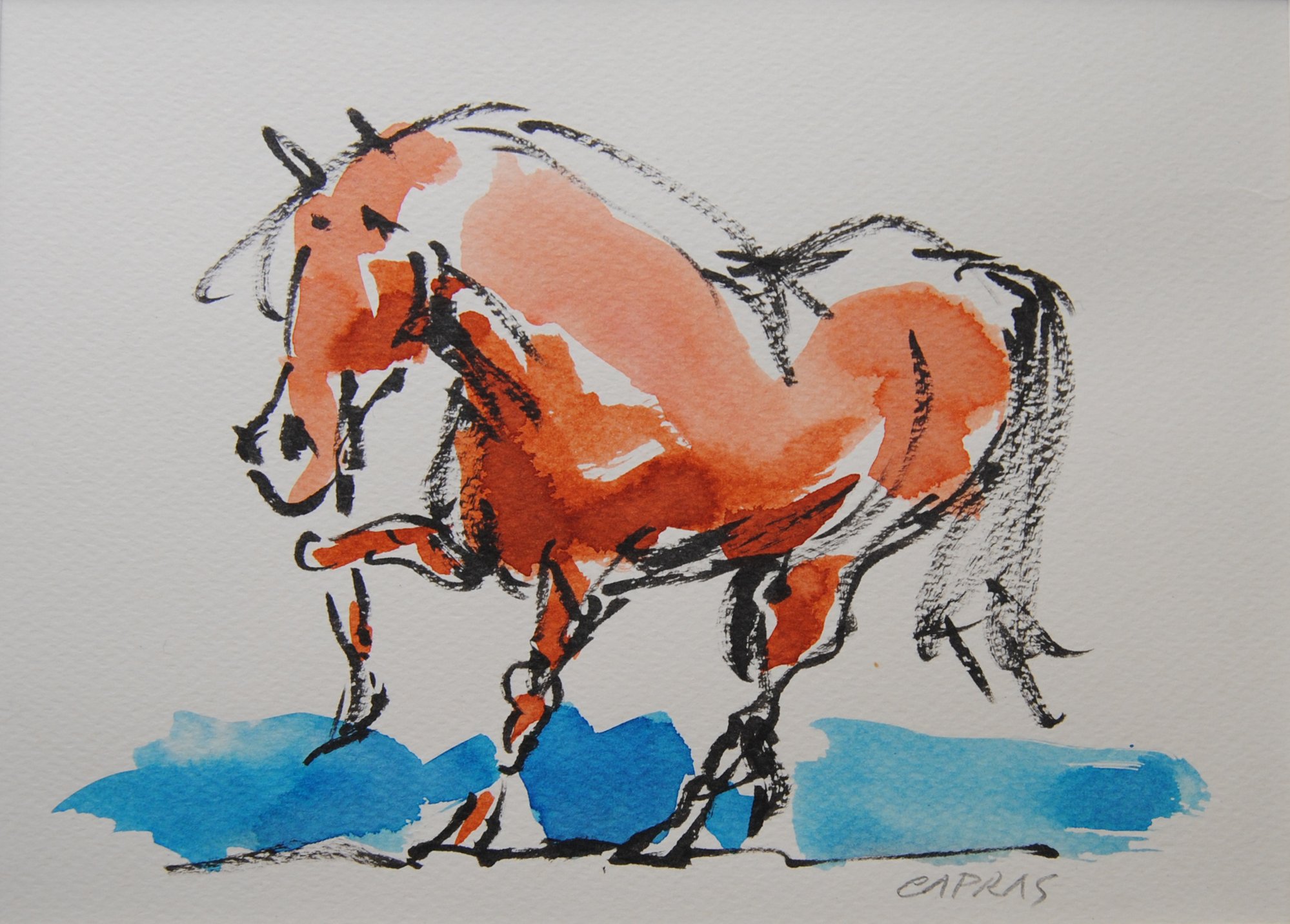 Cavallino, disegno di CAPRAS: cavallo stilizzato in movimento possente che galoppa su un prato immaginario azzurro