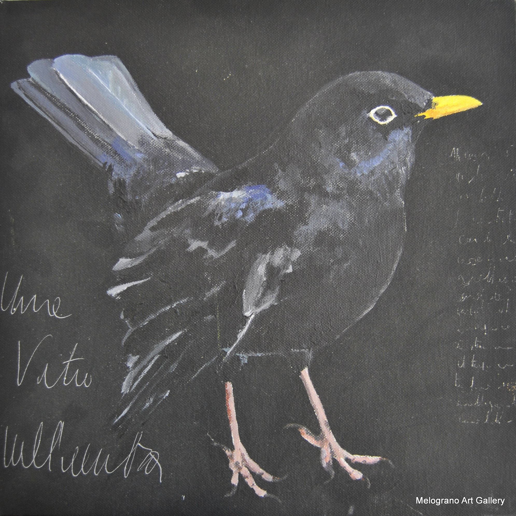 Dipinto figurativo di Claudio Citi con merlo nero su sfondo scuro, becco giallo e scritta “una vita nell’ombra”, parole indecifrabili ai lati