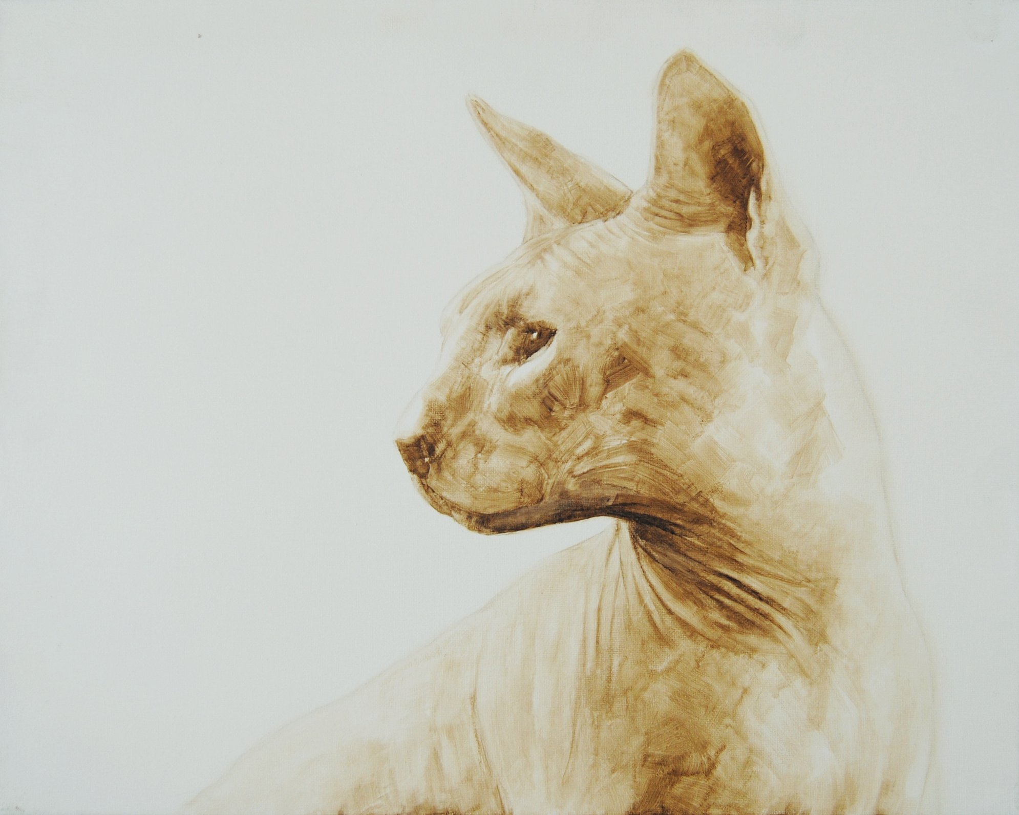 Un elegantissimo gatto in bitume su tela di Davide Robert Ross, uno splendido gagtto nudo sphinx