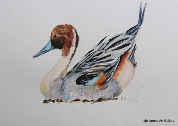 Uccellini dolci e multicolori ad acquarello, opere di Donatella Lami.