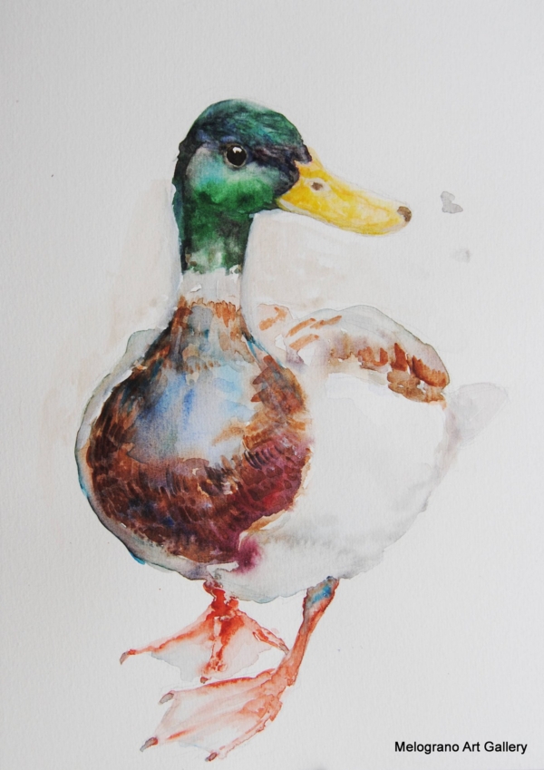 Uccellini dolci e multicolori ad acquarello, opere di Donatella Lami.