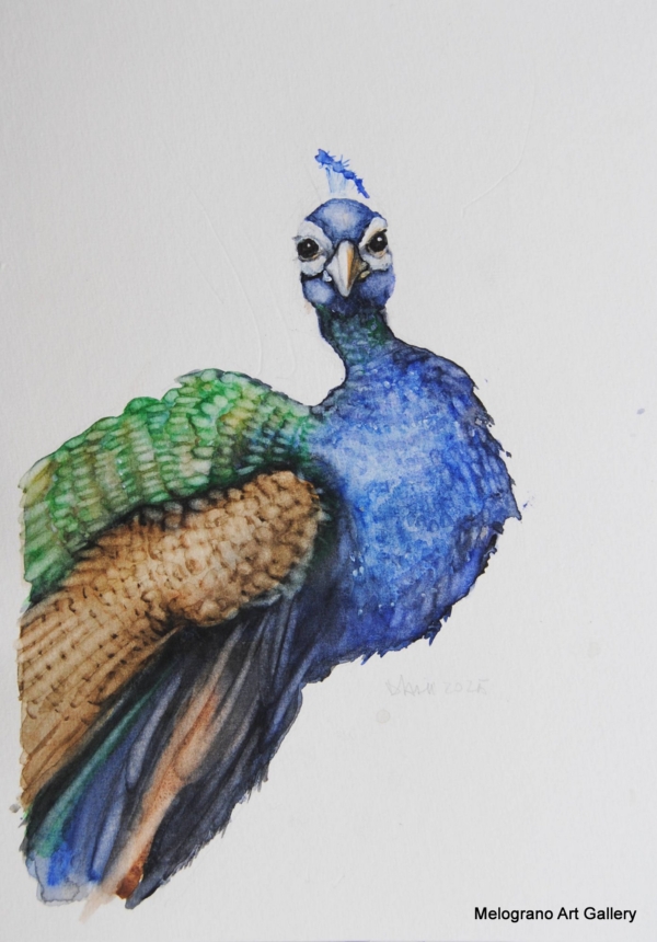Uccellini dolci e multicolori ad acquarello, opere di Donatella Lami.