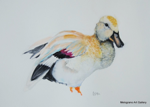 Uccellini dolci e multicolori ad acquarello, opere di Donatella Lami.