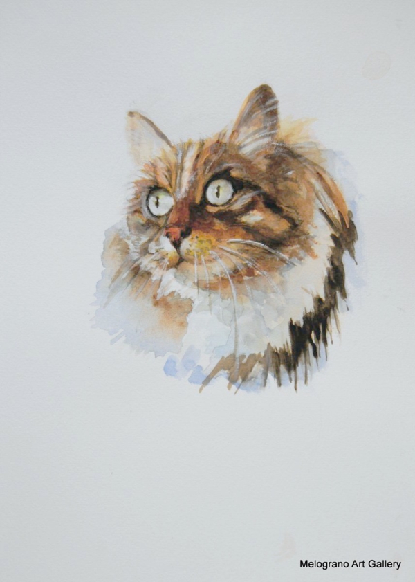 Musetto di gatto peloso ad acquarello, espressione dolce e occhi vivaci, opera di Donatella Lami.