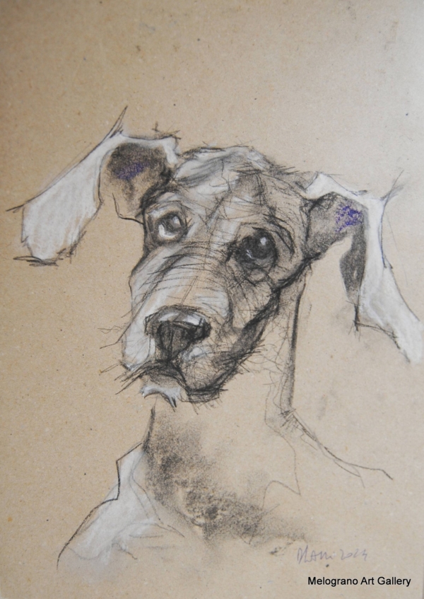 Ritratto a pastelli di cane dagli occhi profondi e muso delicato, opera di Donatella Lami.