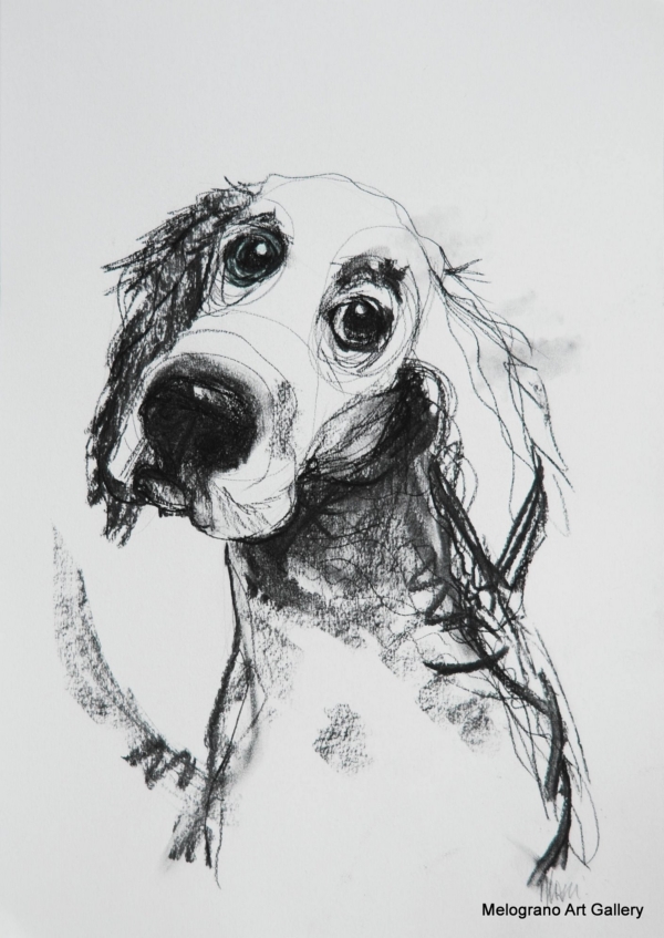 Ritratto a pastelli di cane dagli occhi profondi e muso delicato, opera di Donatella Lami.
