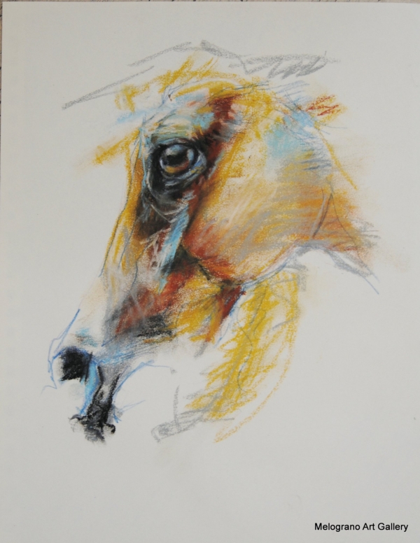 Acquarello di Donatella Lami che ritrae un muso di cavallo di profilo con colori surreali e una grazia straordinaria.