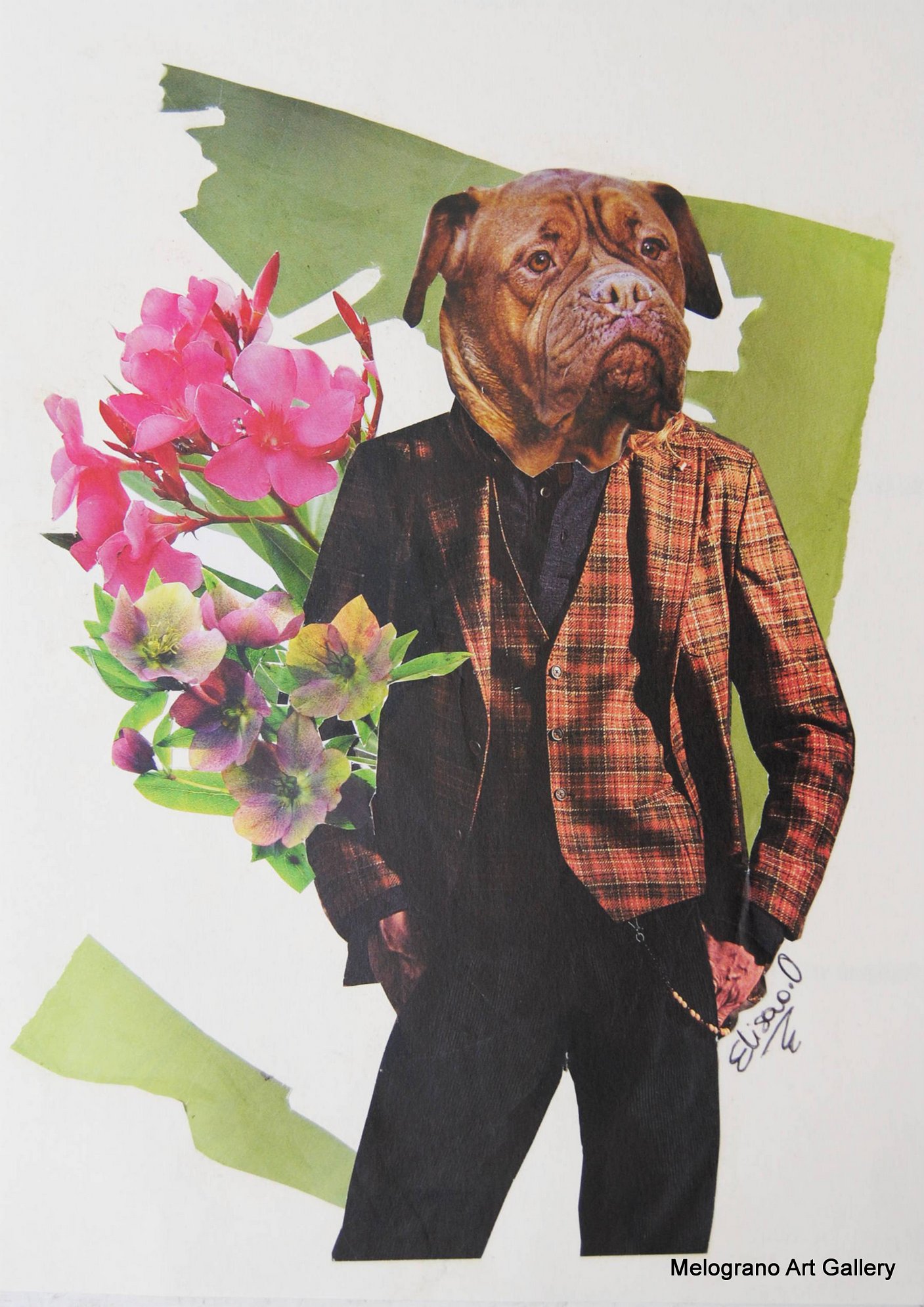 Collage “Brando (Overdress)” di Elisa Biagiotti, testa di cane su corpo umano, riviste vintage, arte concettuale 2025