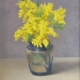 Mimosa fiorita in vaso, natura morta. Quadro di Gloria Geraci, pittrice livornese della scuola labronica