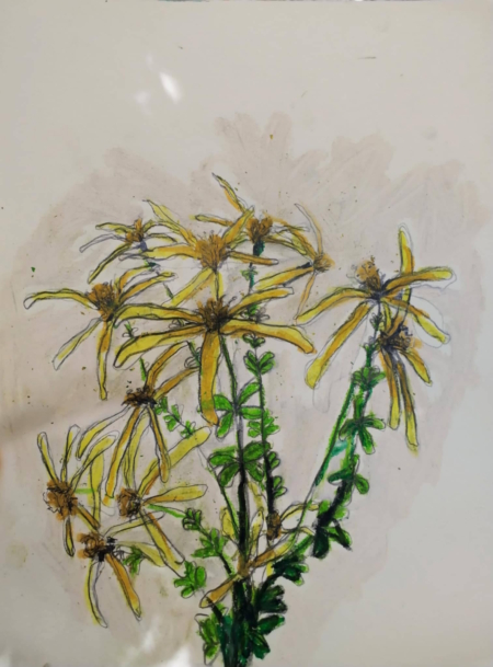 Gruppo di giori di Ottavio Mangiarini, quasi fiori alpini con le fogli a forma di croce verde