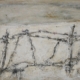 quadro con filo spinato nella neve, memoria della guerra, Raimondo Colantonio