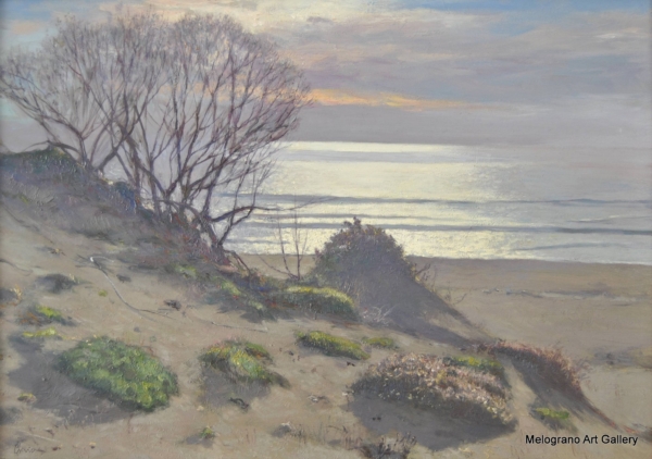 Dune controluce 2022, opera di Riccardo Chirici, dune e vegetazione al tramonto sul mare