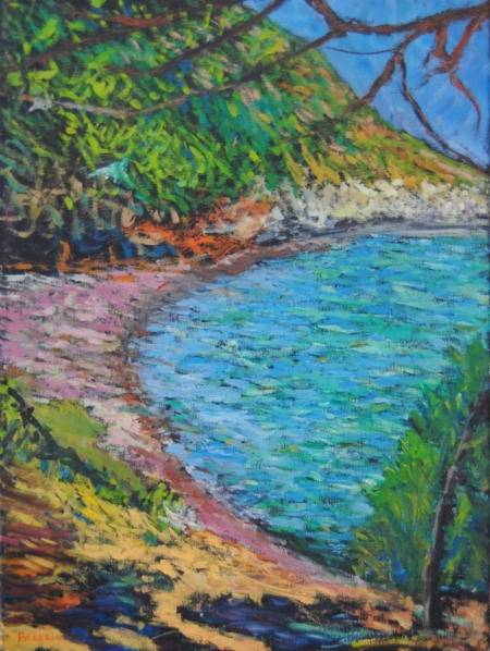 Cala del Leone con baia curva, mare azzurro profondo e vegetazione verde intensa sulla scogliera