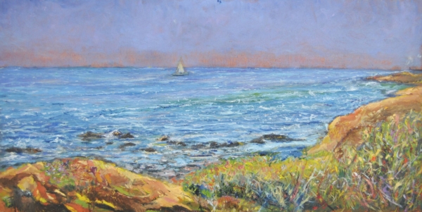 Costiera livornese con ginestre e vegetazione sugli scogli, mare azzurro sullo sfondo