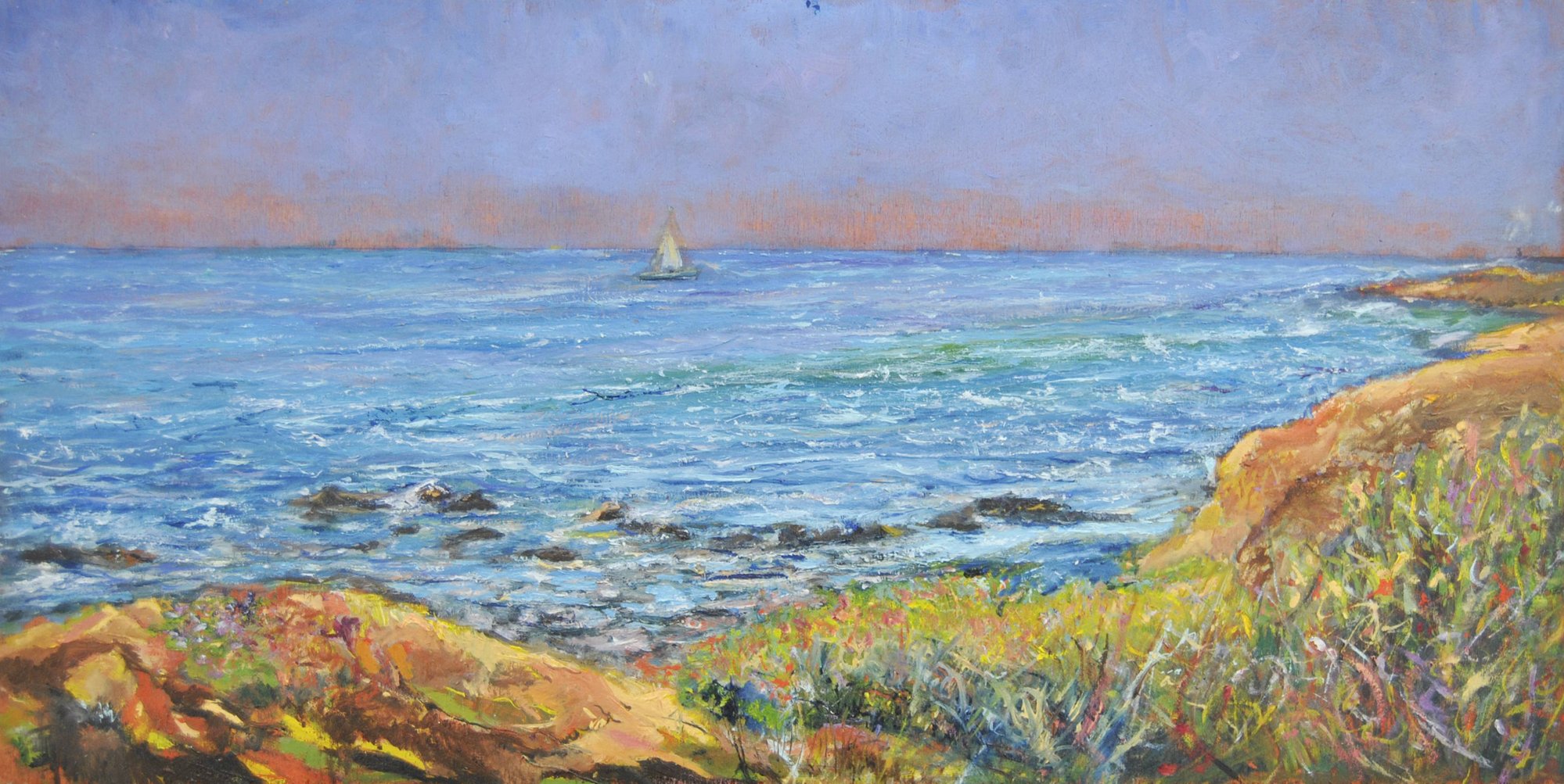 Costiera livornese con ginestre e vegetazione sugli scogli, mare azzurro sullo sfondo