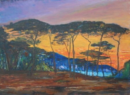 Tramonto a Baratti: pini scuri in controluce e mare lontano tra le ombre