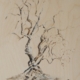Vera Lowen, Albero spoglio, acquerello su carta, 2024