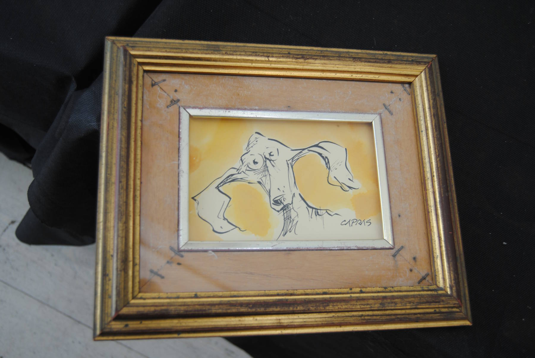 Capras - Bau - immagine 2