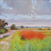 Campagna di papaveri rossi sotto cielo nuvoloso, luce calda e romantica – dipinto di Andrea Borella