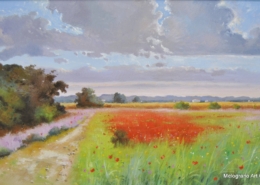 Campagna di papaveri rossi sotto cielo nuvoloso, luce calda e romantica – dipinto di Andrea Borella