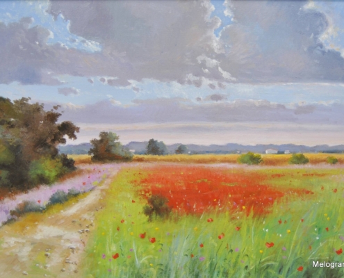 Campagna di papaveri rossi sotto cielo nuvoloso, luce calda e romantica – dipinto di Andrea Borella