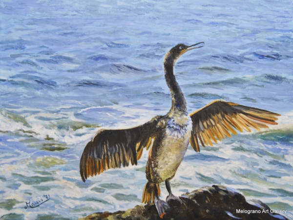 Cormorano con le ali aperte sulla riva del mare, atmosfera serena e luminosa, dipinto figurativo di Bianca Manis.