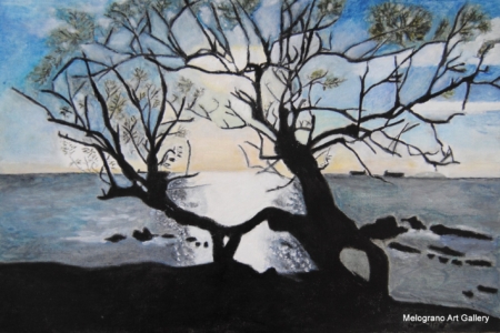 Dipinti di Giuseppe Geloso che ritrae in controluce la storica tamerice sulle falesie di Antignano, costa livornese