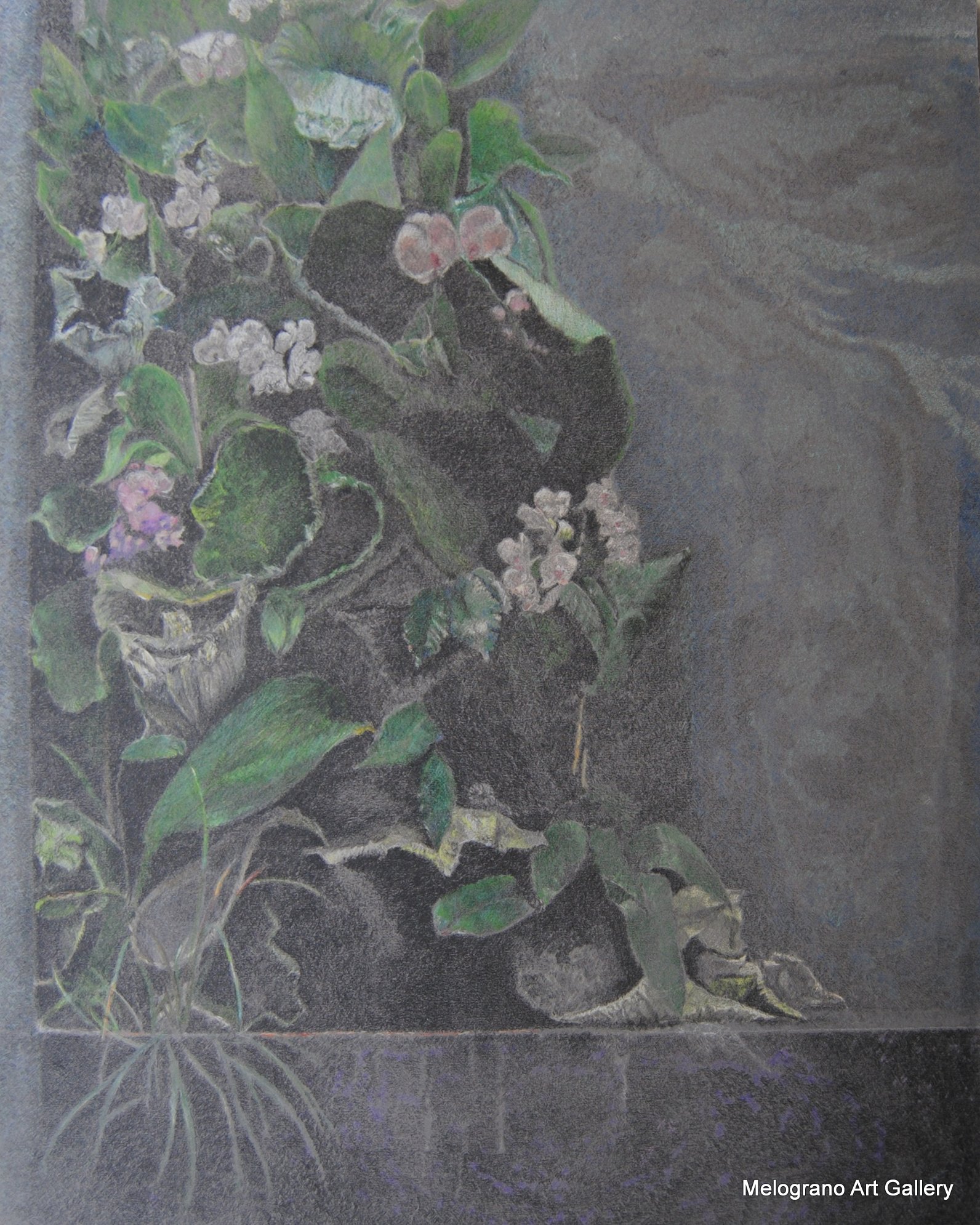 Fiori pastello rosa su rampicante su muro nero, dipinto figurativo di Mara Di Campli