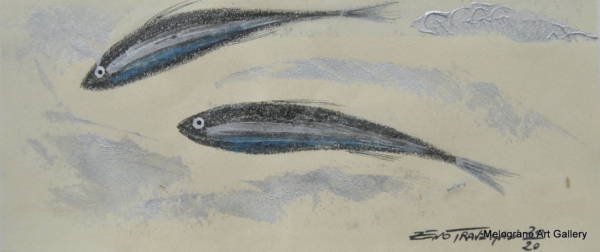 Acciughe colorata della serie Anciue di Zeno Travegan