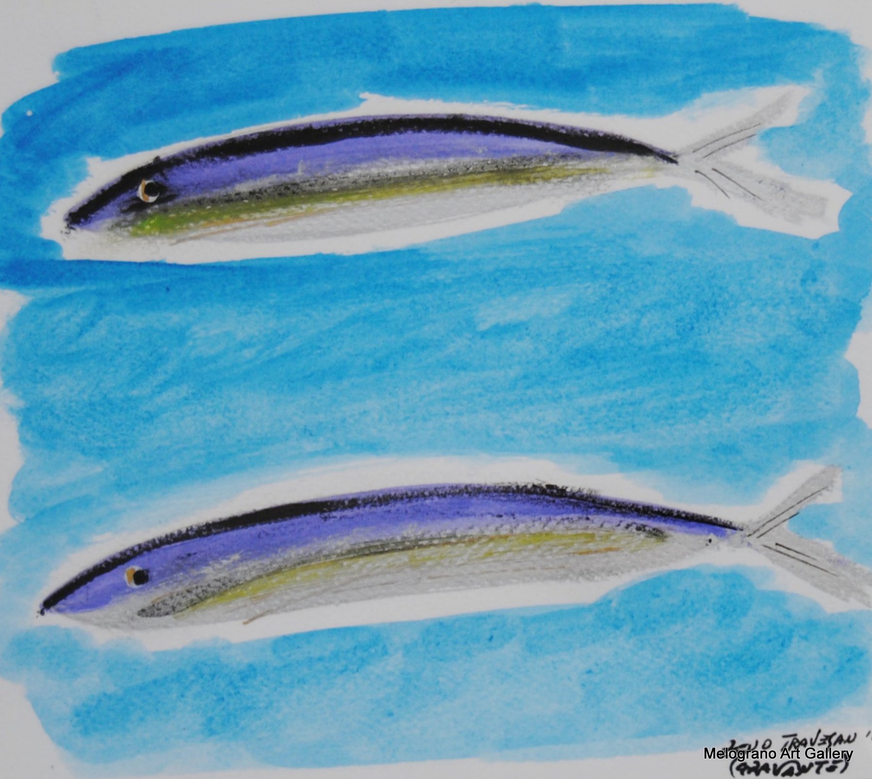 Acciughe colorata della serie Anciue di Zeno Travegan con fondo azzurro