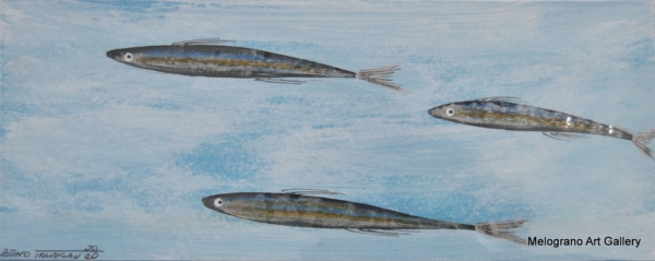 Acciughe colorata della serie Anciue di Zeno Travegan