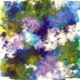 Alessandro Andreuccetti – pittura astratta floreale, fiori e giardini reinterpretati attraverso colore e forma