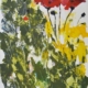 Alessandro Andreuccetti – pittura astratta floreale, fiori e giardini reinterpretati attraverso colore e forma