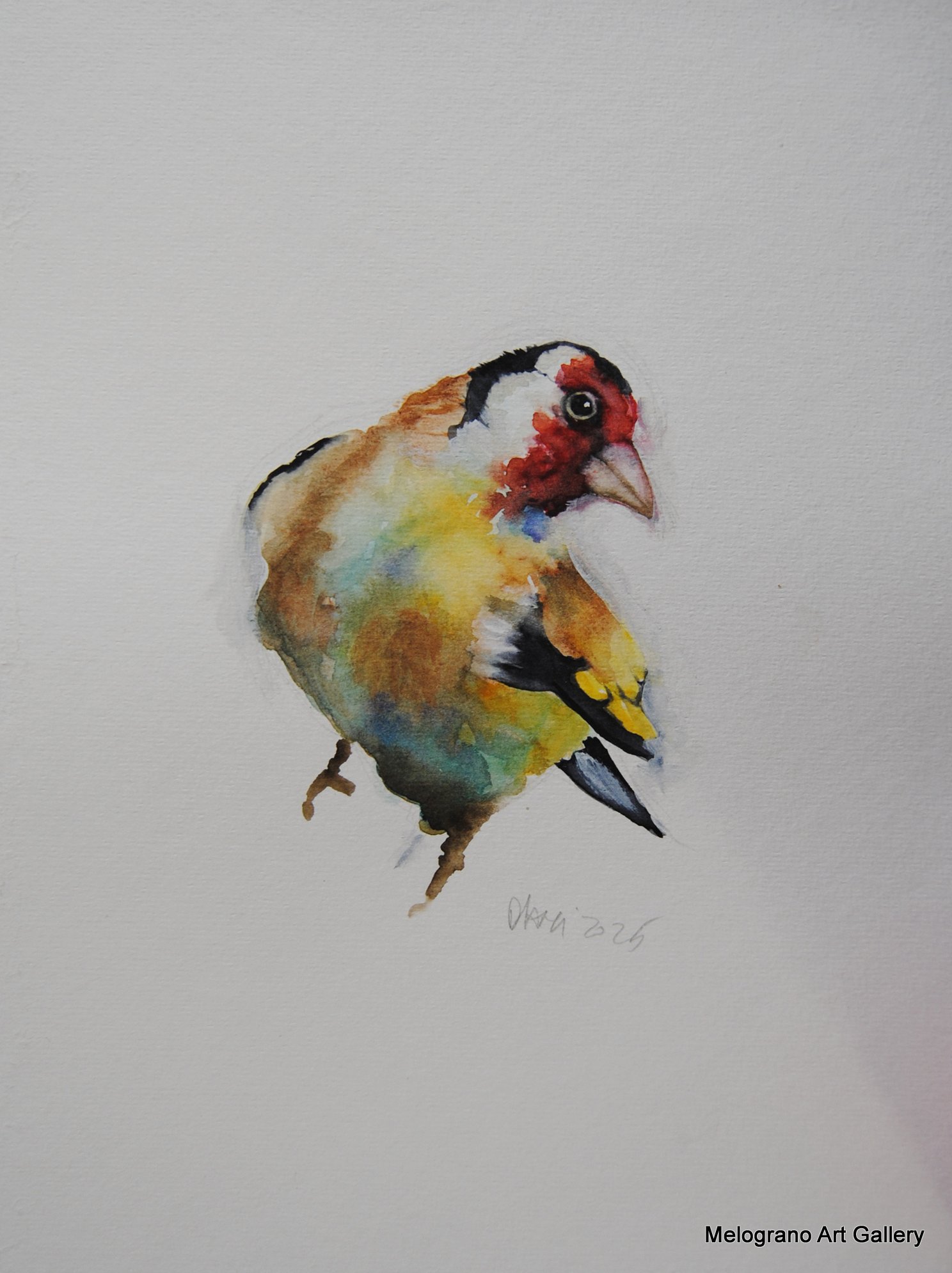 Uccellini dolci e multicolori ad acquarello, opere di Donatella Lami.