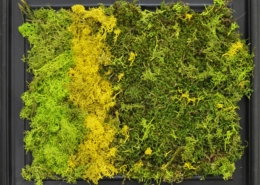 Passione Verde, opera materica di Fabio Brambilla con muschio stabilizzato in diversi toni di verde