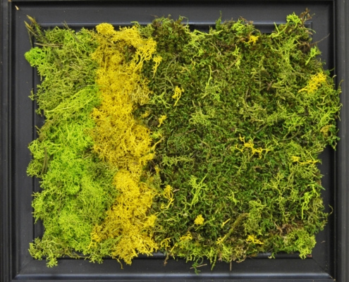 Passione Verde, opera materica di Fabio Brambilla con muschio stabilizzato in diversi toni di verde