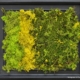 Passione Verde, opera materica di Fabio Brambilla con muschio stabilizzato in diversi toni di verde