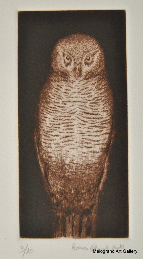 Grafica con civetta realizzata da Romeo Celardi